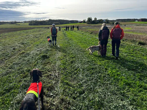 element_settings.Image+Text_94464494.default